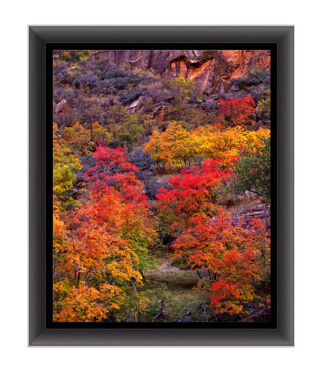 Southwest Fall Colors - art print with a black frame - Legacy Editions - Richard Stefani - fine art photograph - Stefani Fine Art