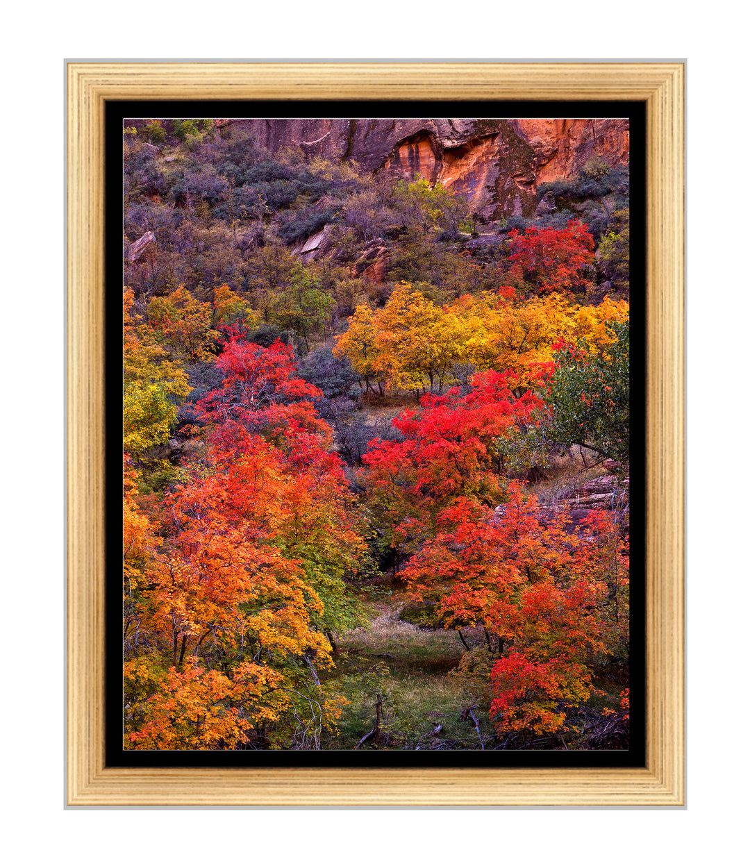 Southwest Fall Colors - art print with a gold frame - Legacy Editions - Richard Stefani - fine art photograph - Stefani Fine Art