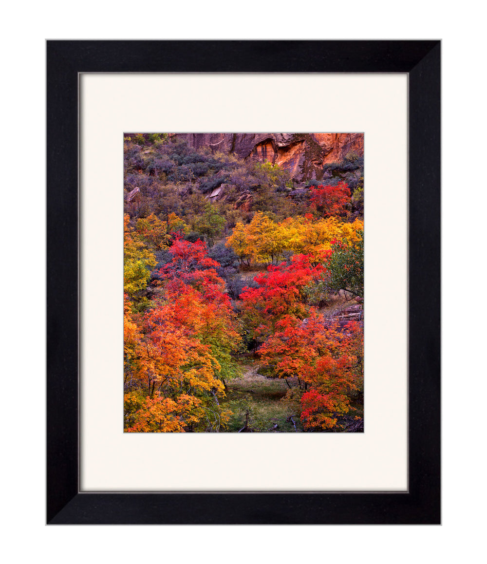 Southwest Fall Colors - art print with a white mat and black frame- Legacy Editions - Richard Stefani - fine art photograph - Stefani Fine Art
