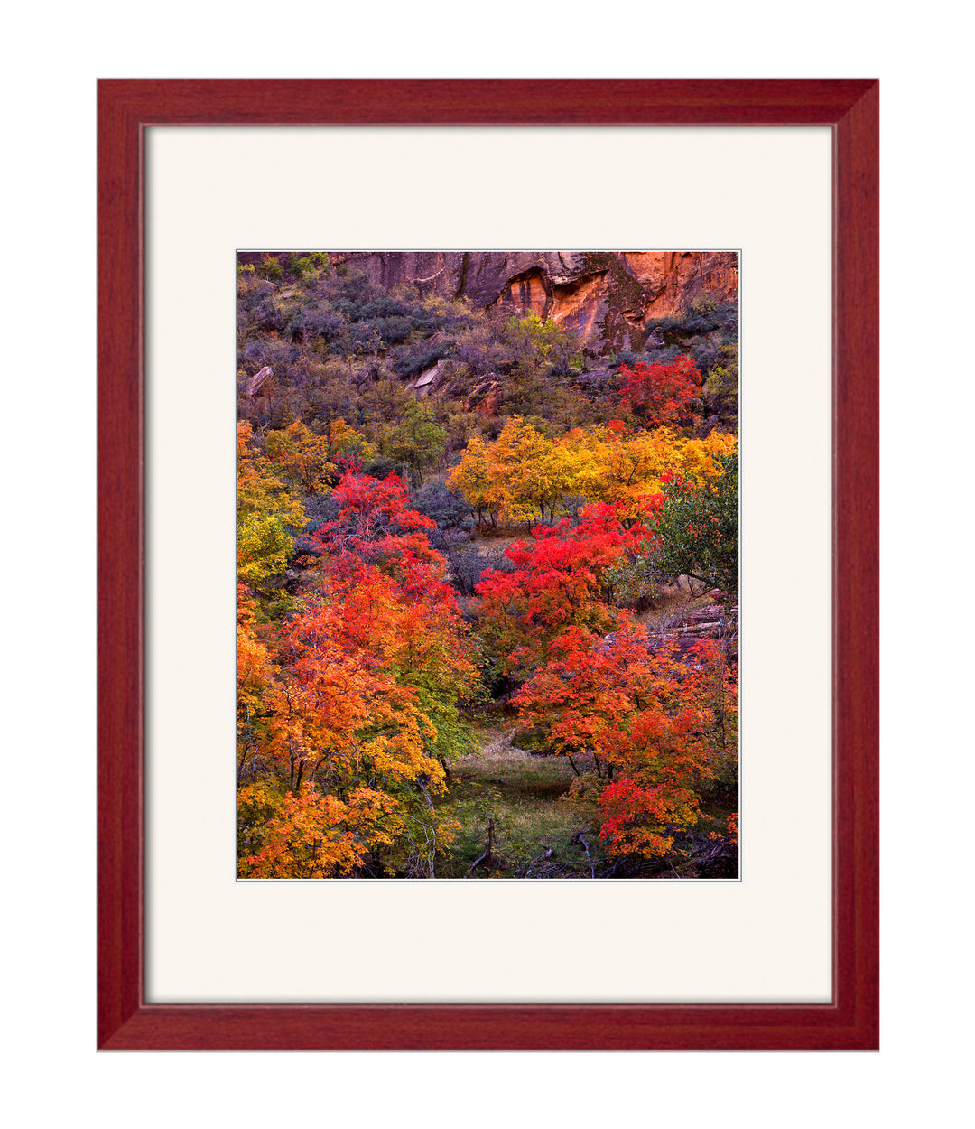 Southwest Fall Colors - art print with a white mat and cherry frame - Legacy Editions - Richard Stefani - fine art photograph - Stefani Fine Art
