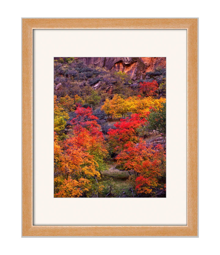 Southwest Fall Colors - art print with a white mat and natural frame - Legacy Editions - Richard Stefani - fine art photograph - Stefani Fine Art