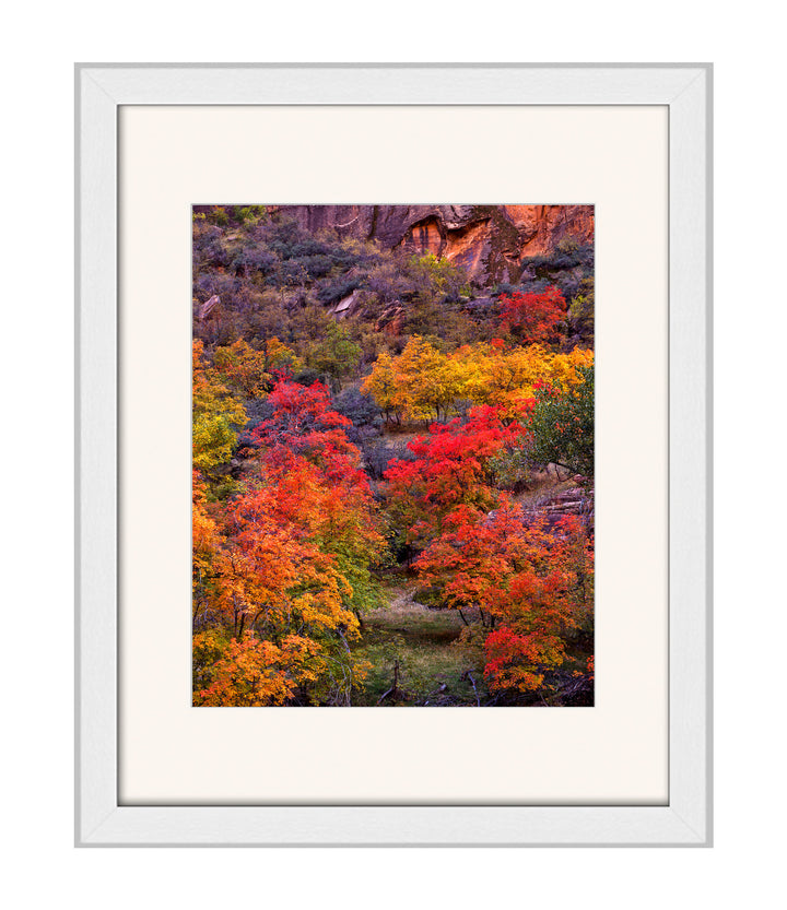 Southwest Fall Colors - art print with a white mat and white frame - Legacy Editions - Richard Stefani - fine art photograph - Stefani Fine Art