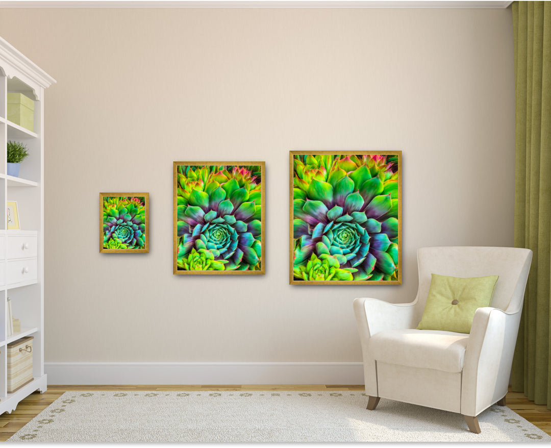 Succulent-Splendor-cactus-painting-art-print-by-Christina-Stefani-with-brushed-gold-frame-hanging-on-a-wall-three-sizes-Stefani-Fine-Art