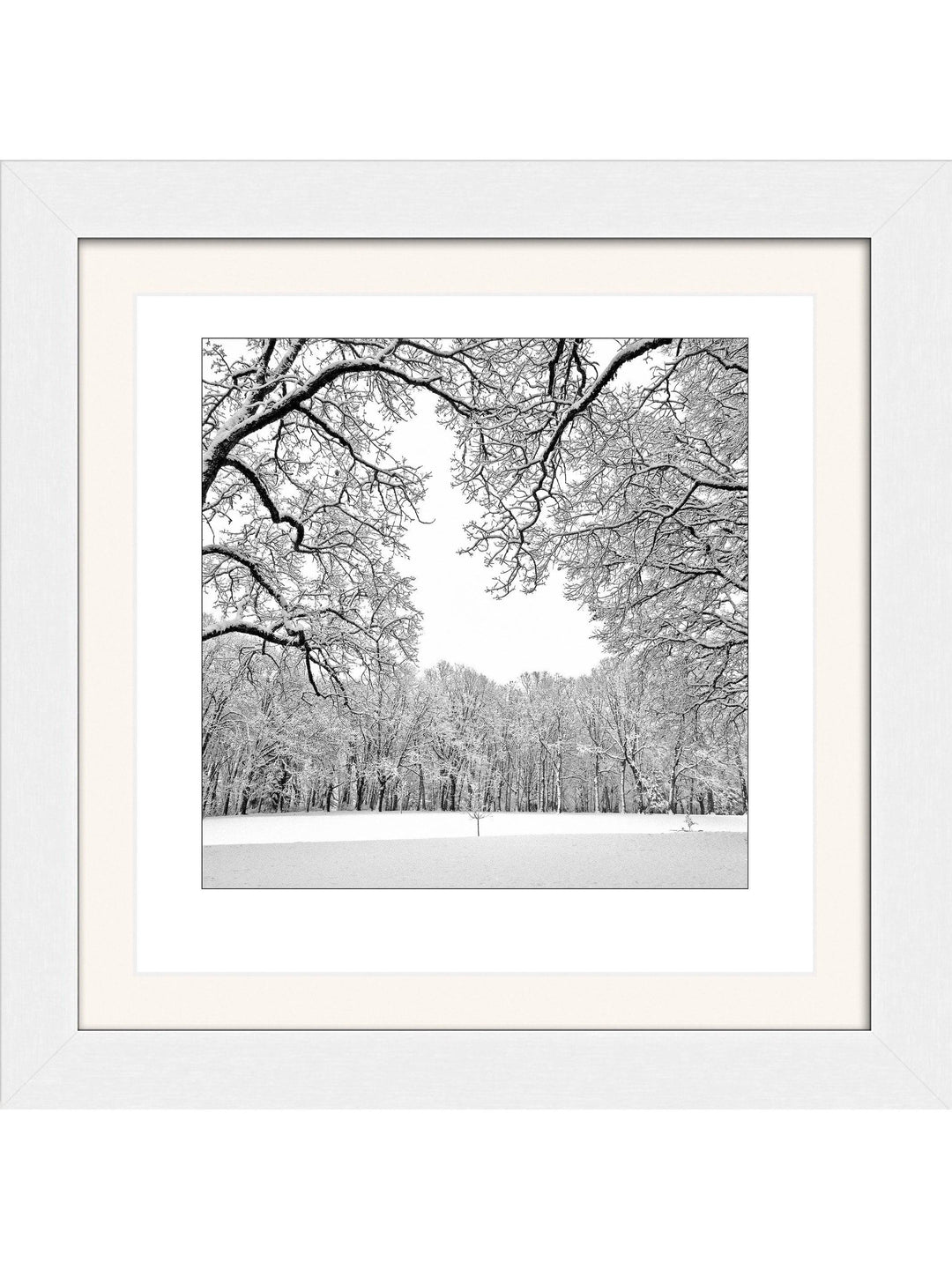 First Snow Square Edition - Square Editions - Richard Stefani - Stefani Fine Art